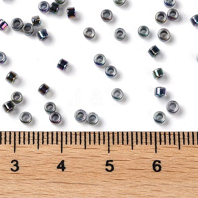 Glass Seed Beads X-SEED-S042-13A-19-1
