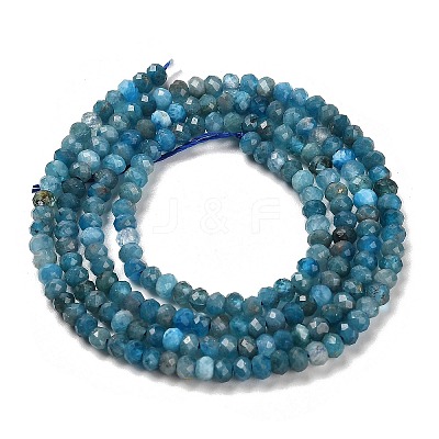Natural Apatite Beads Strands G-G155-A01-01-1