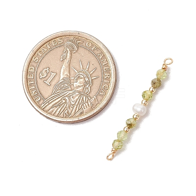 12Pcs 12 Styles Faceted Round Natural Mixed Stone Beaded Connector Charms PALLOY-JF03557-1
