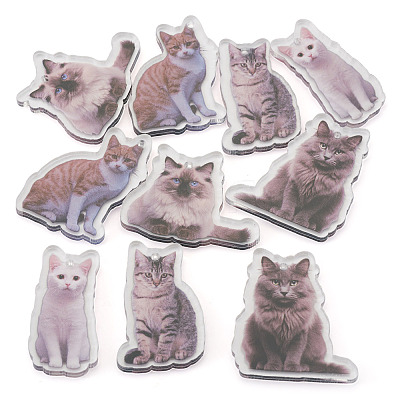 10Pcs 5 Styles Printed Acrylic Pendants OACR-TA0004-13-1