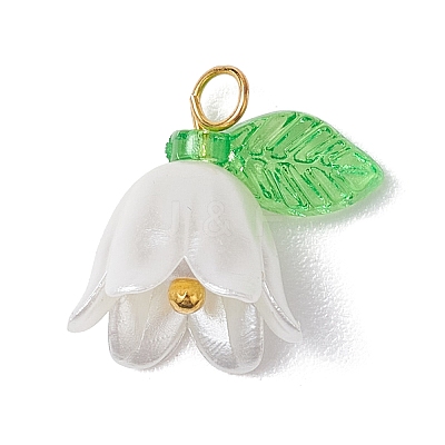 20Pcs Opaque Acrylic Pendants PALLOY-JF02870-1