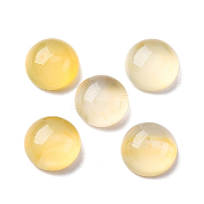 Natural Yellow Agate Cabochons G-K348-07C-04-1