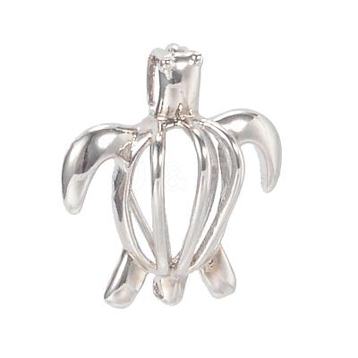 Hollow Brass Bead Cage Pendants KK-K124-09P-NR-1