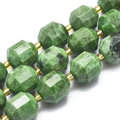 Natural Diopside Beads Strands G-K303-A10-12mm-1