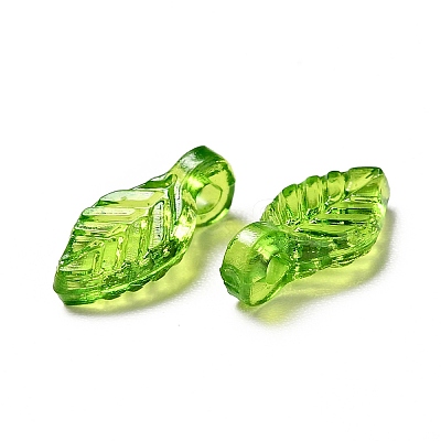 Transparent Acrylic Charms X-MACR-C009-12-1