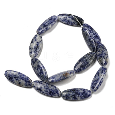 Natural Blue Spot Jasper Beads Strands G-B078-E07-01-1