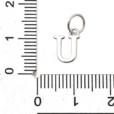 925 Sterling Silver Pendants STER-R011-07P-U-1