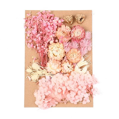 Dried Flower DIY-B018-09-1