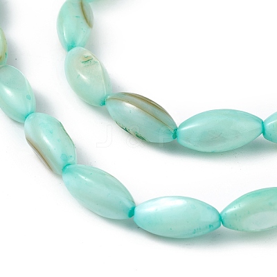 Natural Freshwater Shell Dyed Beads Strands SHEL-M018-13-1