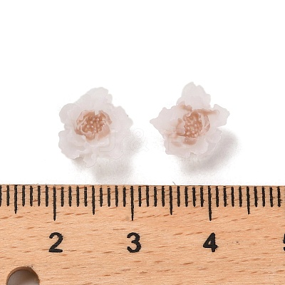 Luminous Resin Decoden Cabochons RESI-K036-06F-01-1