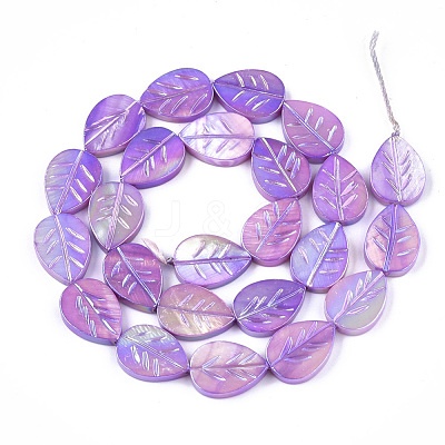 Freshwater Shell Beads Strands X-SHEL-S274-61D-1