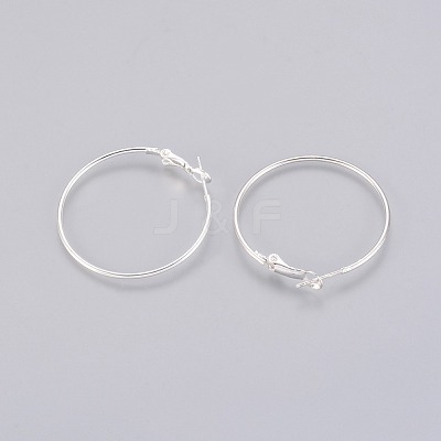 Brass Hoop Earrings X-EC108-2NFS-1