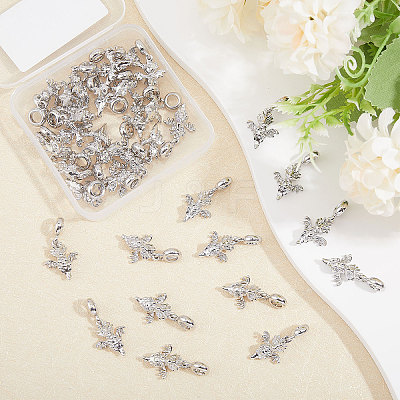 36Pcs Alloy European Dangle Charms MPDL-CA0001-06P-1