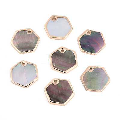 Natural Black Lip Shell Hexagon Charms BSHE-T014-05-1