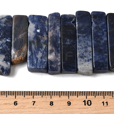 Natural Sodalite Beads Strands G-S386-D19-1
