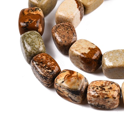 Natural Picture Jasper Beads Strands G-T138-93-1