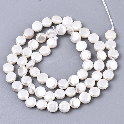 Natural Freshwater Shell Beads Strands X-SHEL-N026-50B-01-1