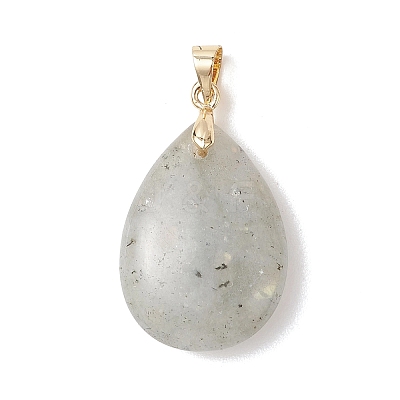 Natural Labradorite Pendants PALLOY-JF04953-1