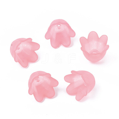 Transparent Acrylic Bead Caps FACR-N005-002G-1