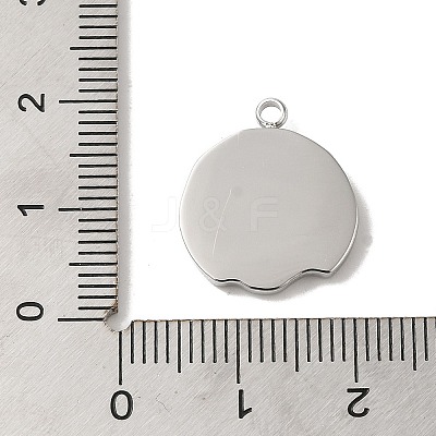 304 Stainless Steel Pendants STAS-B074-08P-04-1