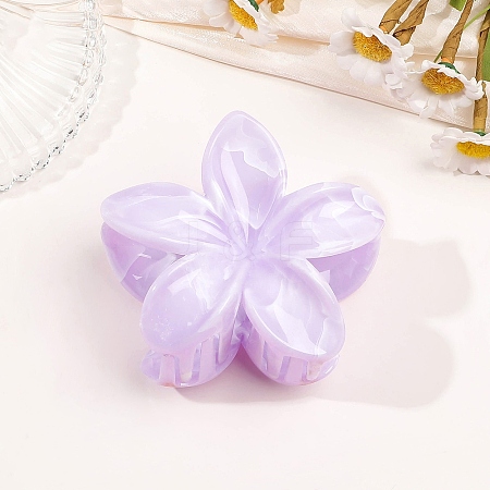 Plastic Claw Hair Clips for Women Girls PW-WGB2E8F-12-1