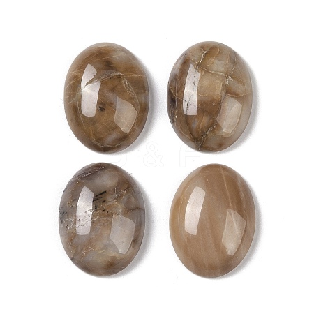 Natural Multi-Color Agate Cabochons G-B080-01A-16-1