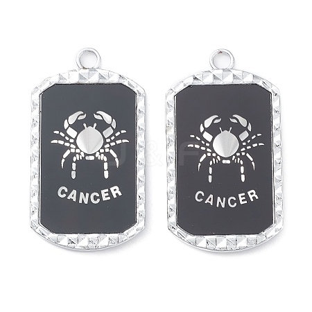 Alloy Twelve Constellations Series Big Pendants PALLOY-O107-01P-01-1