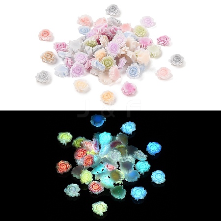 Luminous Resin Decoden Cabochons RESI-N039-80-1