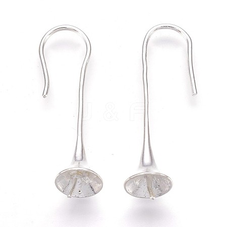 Brass Earring Hooks X-EC3020Y-S-1