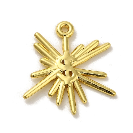 304 Stainless Steel Pendants STAS-Q322-06G-1
