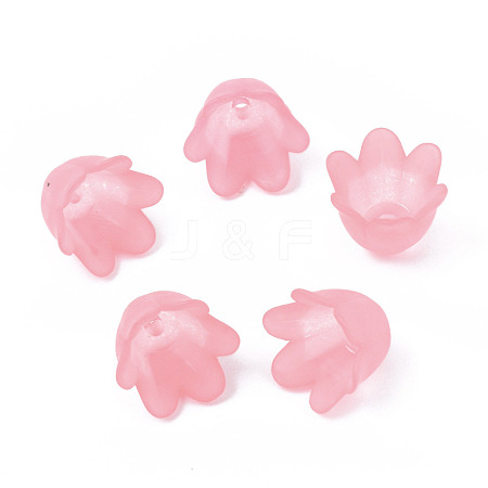 Transparent Acrylic Bead Caps FACR-N005-002G-1