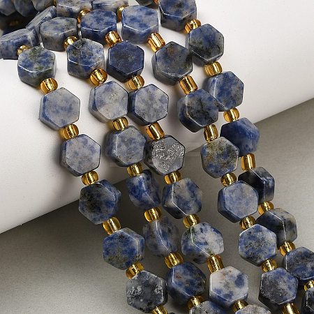 Natural Blue Spot Jasper Beads Strands G-F833-B16-01-1