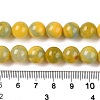 Dyed Natural White Jade Beads Strands G-T138-10mm-210-26-5