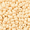 Baking Paint Glass Seed Beads X1-SEED-B001-02A-09-3