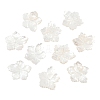Natural White Shell Carved Beads SSHEL-B006-06-1