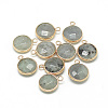 Natural Labradorite Pendants G-Q964-12G-1
