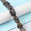 Natural Llanite Beads Strands G-F743-04E-2