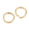 Brass Twister Clasp KK-Z146-04G-02-2