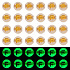 50G Luminous Transparent Acrylic Beads OACR-TAD0001-01F-1