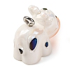 Animal Theme Resin Pendants RESI-S010-04C-2