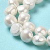 Natural Cultured Freshwater Pearl Beads Strands PEAR-E017-23-4