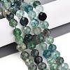 Natural Fluorite Beads Strands G-S345-10mm-31-2