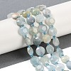 Natural Aquamarine Beads Strands G-C116-A22-01C-1