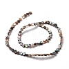 Natural Paua Shell Beads Strands SSHEL-G023-15-2