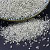 MIYUKI Delica Beads X-SEED-J020-DB0041-1