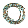 Natural African Turquoise(Jasper) Beads Strands G-K366-G01-2mm-3