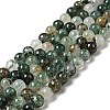 Natural Fuchsite Beads Strands G-K285-40A-1-1
