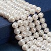 Natural Cultured Freshwater Pearl Beads Strands PEAR-S012-53-3