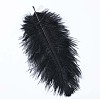 Ostrich Feather Costume Accessories FIND-ZX005-11A-1