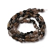 Natural Chiastolite Beads Strands G-I389-A26-3
